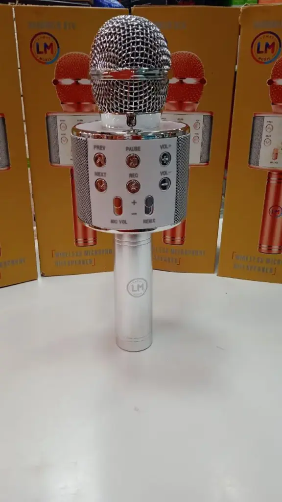 KARAOKE MIC